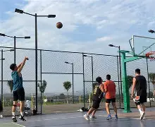 篮球职业联赛势头强劲，各队逐鹿擂台(全国篮球职业联赛共12支篮球队参赛,实行主客场)