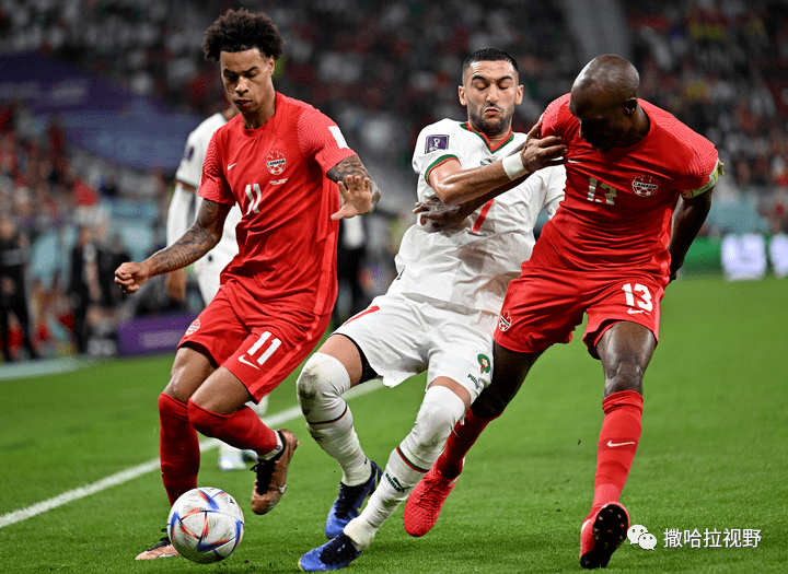 摩洛哥篮球联赛积分榜异军突起，拉巴特队展现实力(土耳其篮球联赛积分榜)