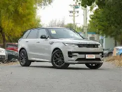 特雷维索主场告捷，取得连胜势头的简单介绍