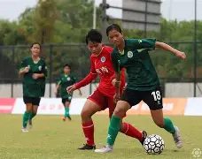 九州娱乐官方网站登录入口（九州娱乐体育、真人、游戏）-青年足球联赛即将启动，年轻力量崭露头角的简单介绍